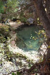 Travertine pool [sat oct 8 11:58:06 mdt 2016]